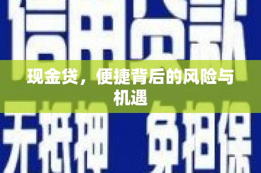 民勤现金贷，便捷背后的风险与机遇