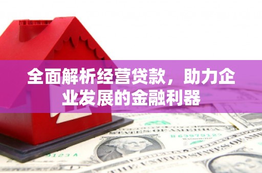 民勤全面解析经营贷款，助力企业发展的金融利器