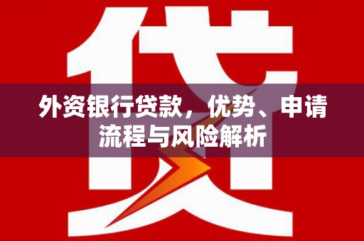 民勤外资银行贷款，优势、申请流程与风险解析
