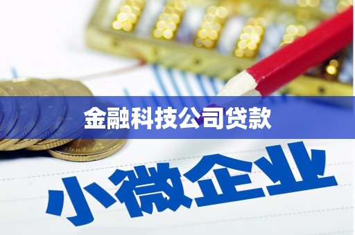 民勤金融科技公司贷款