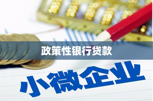 民勤政策性银行贷款