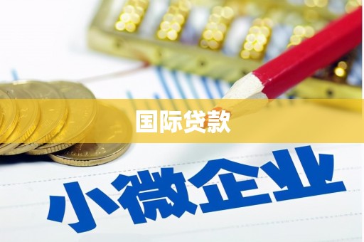 民勤国际贷款