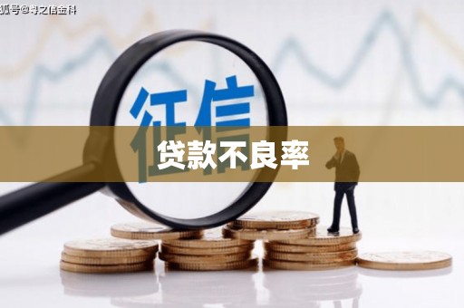 民勤贷款不良率