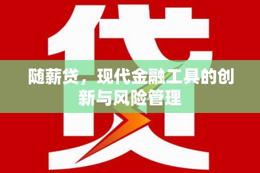民勤随薪贷，现代金融工具的创新与风险管理