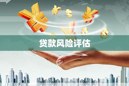 民勤贷款风险评估