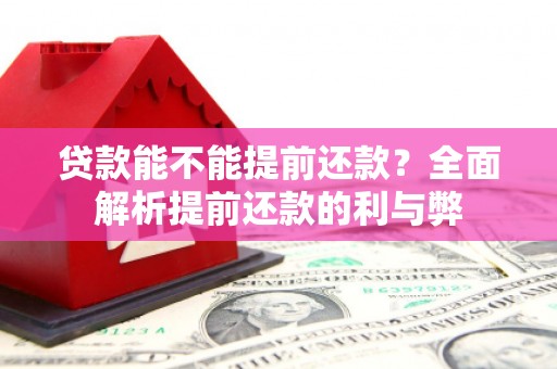 民勤贷款能不能提前还款？全面解析提前还款的利与弊