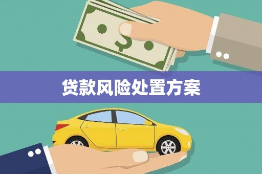 民勤贷款风险处置方案