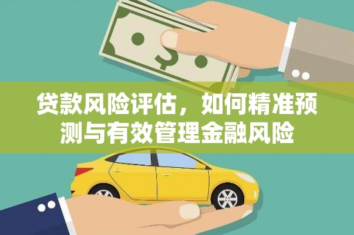 民勤贷款风险评估，如何精准预测与有效管理金融风险