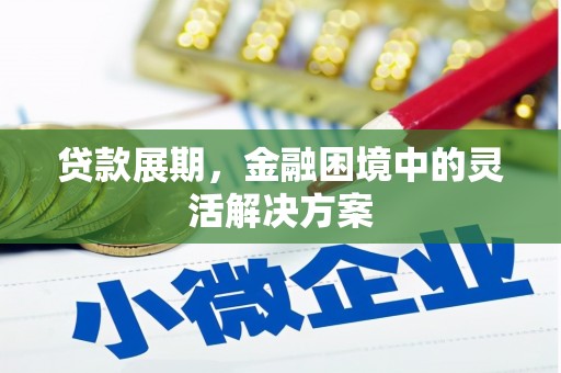 民勤贷款展期，金融困境中的灵活解决方案