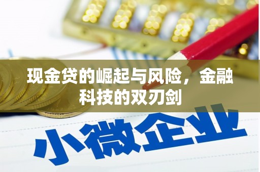 民勤现金贷的崛起与风险，金融科技的双刃剑
