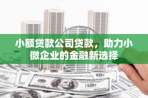 民勤小额贷款公司贷款，助力小微企业的金融新选择
