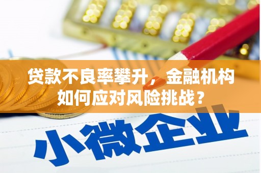 民勤贷款不良率攀升，金融机构如何应对风险挑战？
