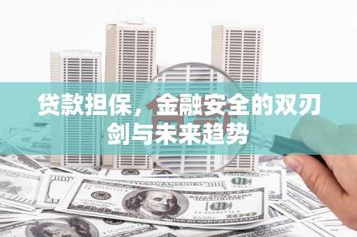 民勤贷款担保，金融安全的双刃剑与未来趋势
