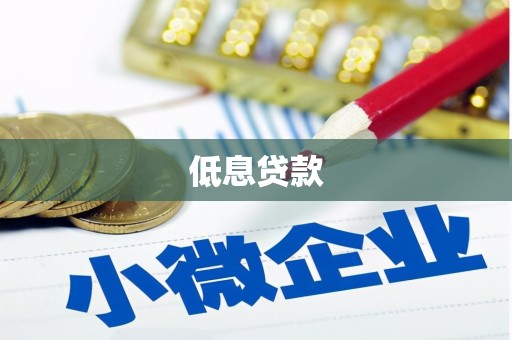 民勤低息贷款