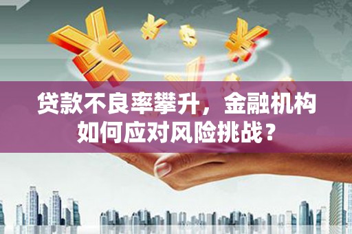 民勤贷款不良率攀升，金融机构如何应对风险挑战？