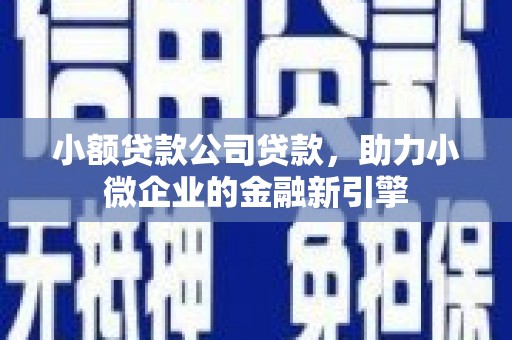 民勤小额贷款公司贷款，助力小微企业的金融新引擎