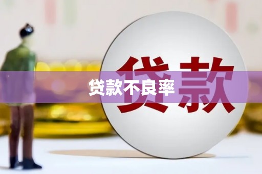 民勤贷款不良率