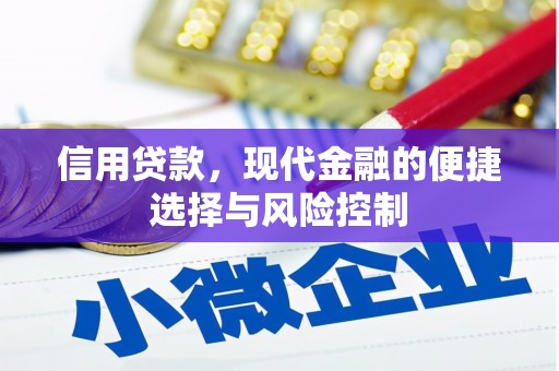 民勤信用贷款，现代金融的便捷选择与风险控制