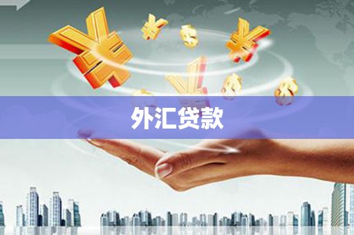 民勤外汇贷款