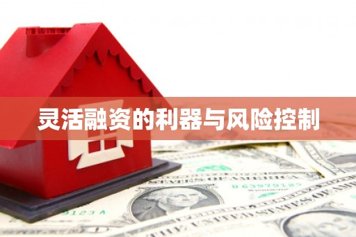 民勤灵活融资的利器与风险控制
