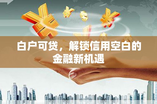 民勤白户可贷，解锁信用空白的金融新机遇