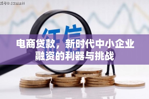 民勤电商贷款，新时代中小企业融资的利器与挑战