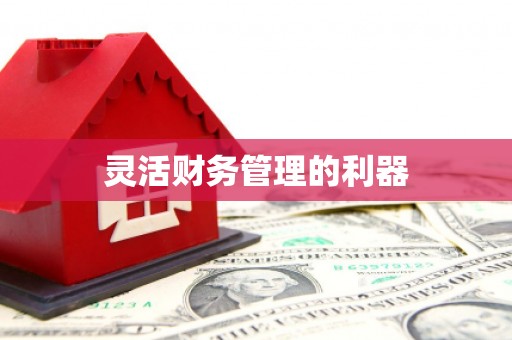 民勤灵活财务管理的利器
