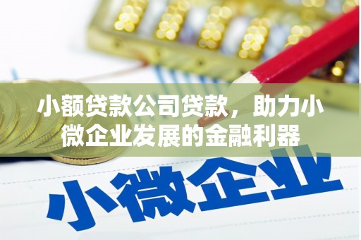 民勤小额贷款公司贷款，助力小微企业发展的金融利器