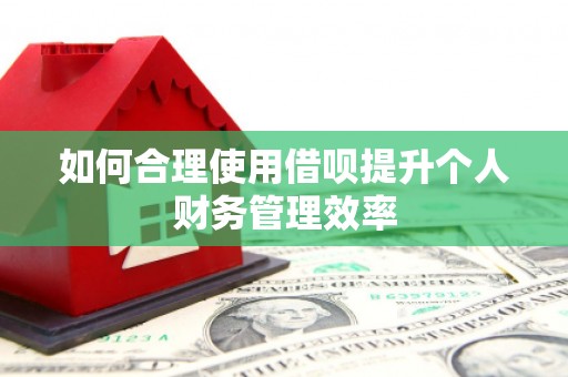 民勤如何合理使用借呗提升个人财务管理效率