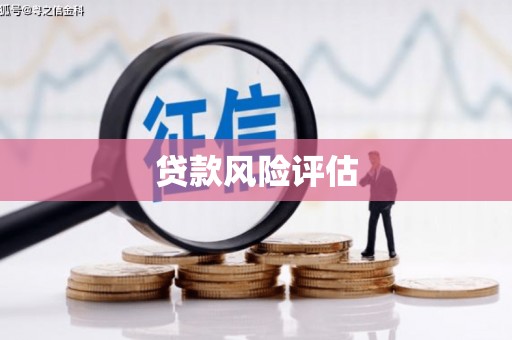 民勤贷款风险评估
