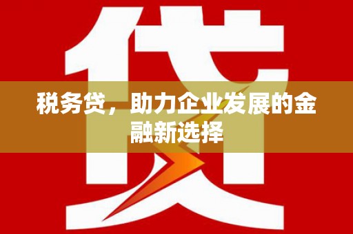 民勤税务贷，助力企业发展的金融新选择