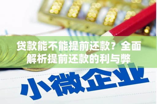 民勤贷款能不能提前还款？全面解析提前还款的利与弊