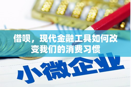 民勤借呗，现代金融工具如何改变我们的消费习惯