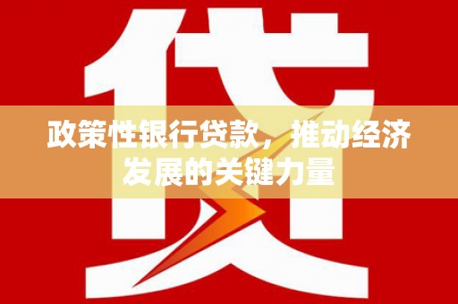 民勤政策性银行贷款，推动经济发展的关键力量