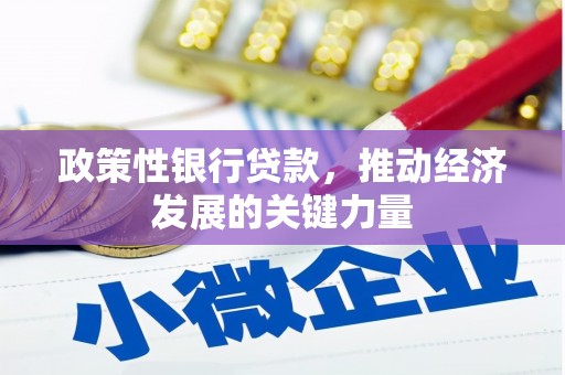 民勤政策性银行贷款，推动经济发展的关键力量