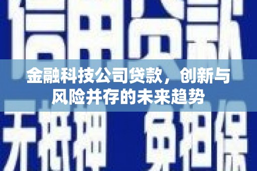 民勤金融科技公司贷款，创新与风险并存的未来趋势