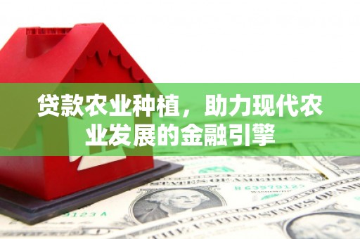 民勤贷款农业种植，助力现代农业发展的金融引擎