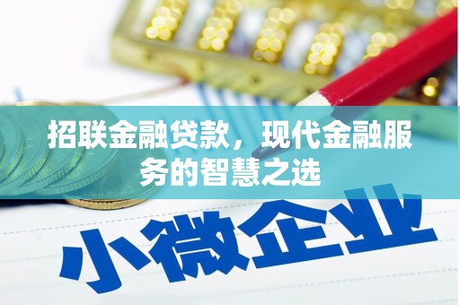 民勤招联金融贷款，现代金融服务的智慧之选