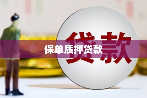 民勤保单质押贷款
