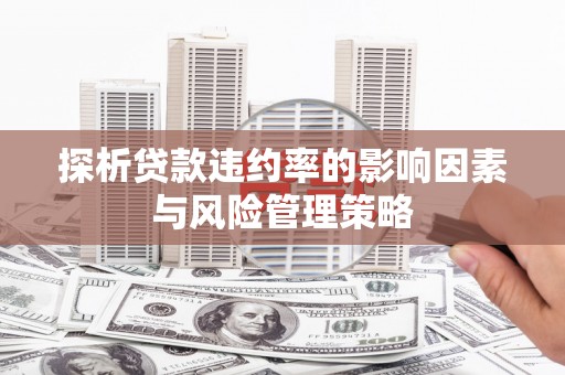 民勤探析贷款违约率的影响因素与风险管理策略