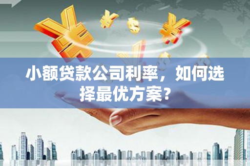 民勤小额贷款公司利率，如何选择最优方案？