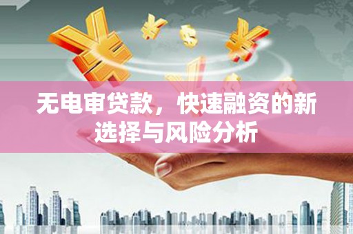 民勤无电审贷款，快速融资的新选择与风险分析