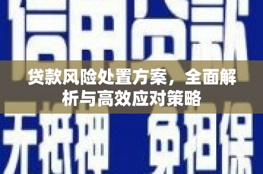 民勤贷款风险处置方案，全面解析与高效应对策略