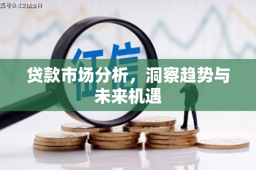 民勤贷款市场分析，洞察趋势与未来机遇