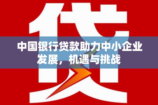 民勤中国银行贷款助力中小企业发展，机遇与挑战