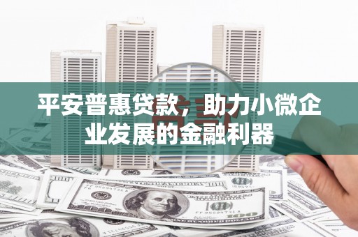 民勤平安普惠贷款，助力小微企业发展的金融利器