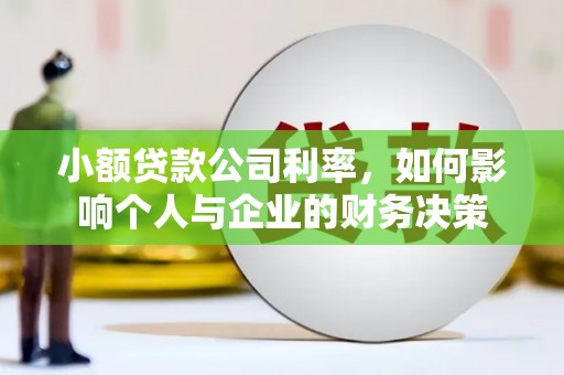 民勤小额贷款公司利率，如何影响个人与企业的财务决策