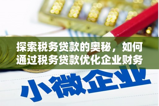 民勤探索税务贷款的奥秘，如何通过税务贷款优化企业财务