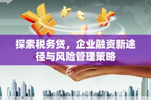 民勤探索税务贷，企业融资新途径与风险管理策略