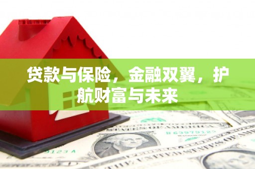 民勤贷款与保险，金融双翼，护航财富与未来